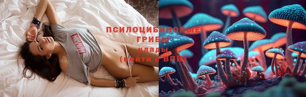винт Аркадак