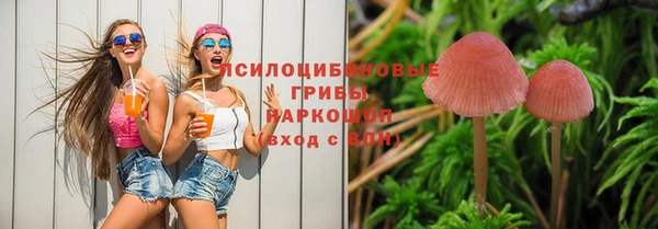 винт Аркадак