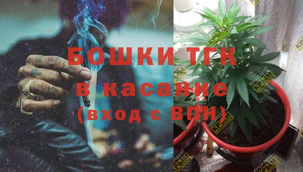 винт Аркадак